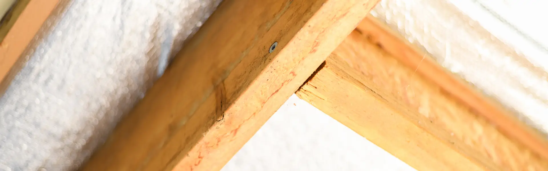 Buildex Bugle Battens
